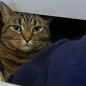 Meet your Posher, Joseph